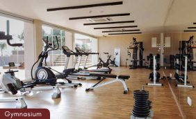 Roha Eva Aria Roha Eva Aria